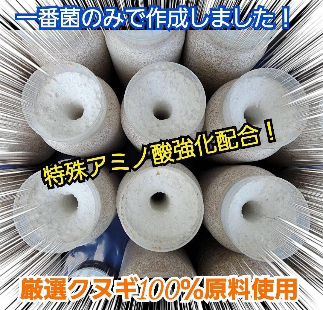 極上！カワラタケ菌糸瓶【8本】特殊アミノ酸強化配合！クワガタ幼虫全般に使えます！