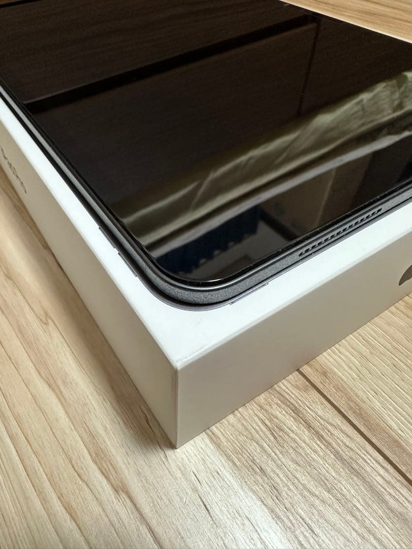 【… 】Apple 11インチiPad Pro（M4）256GB
