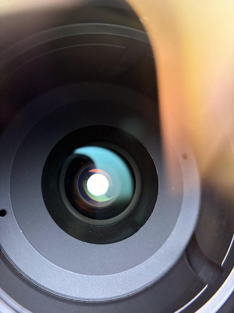 その他 Nikon AF-S DX 18-200mm f/3.5-5.6 VR #114