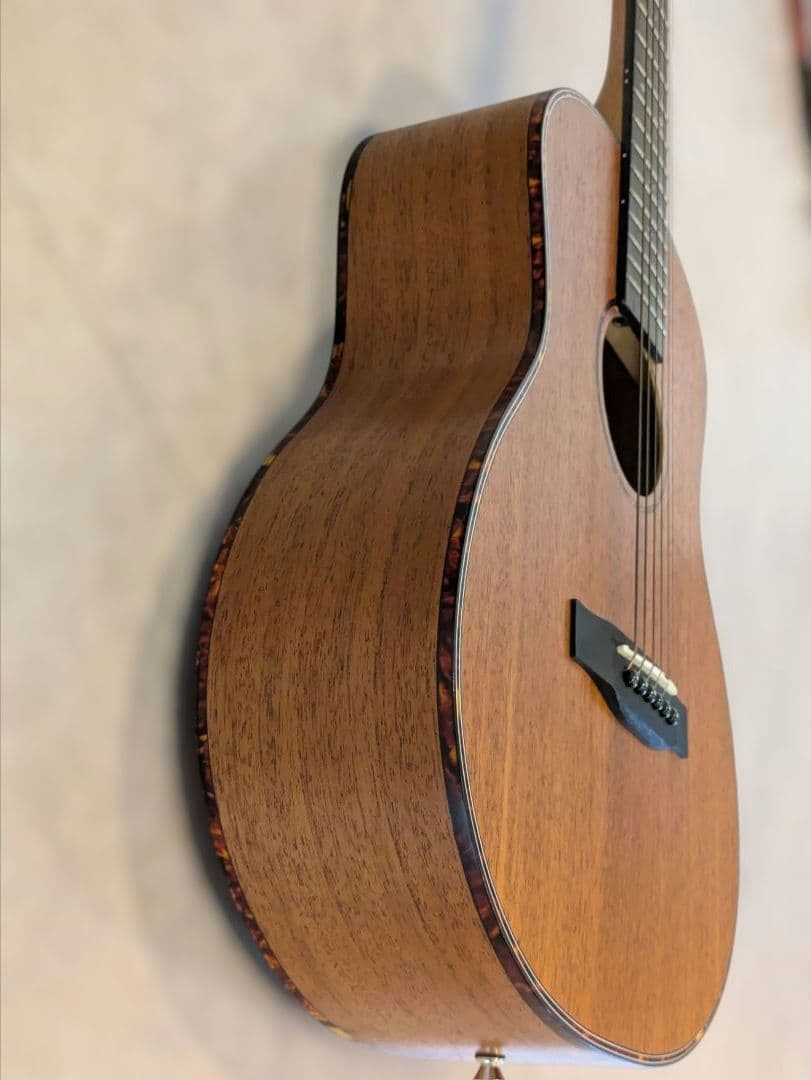 ELVISエルビス Master Mini 10 純正バッグ付き