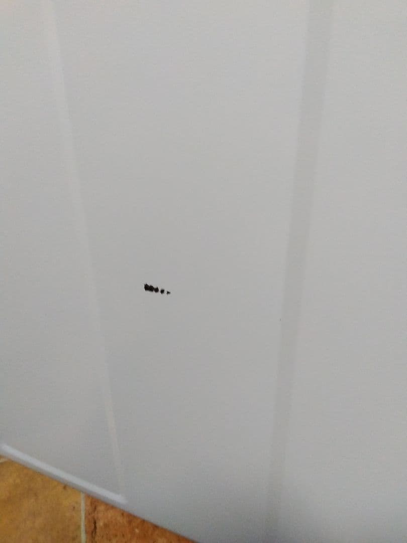 東芝 衣類乾燥機 ED-60C 6.0kg ターボパワー乾燥 2019年製