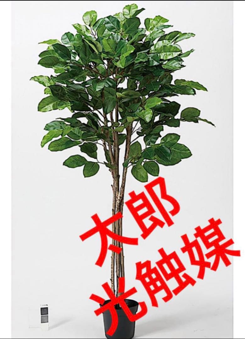 光触媒　人工観葉植物　ウォールグリーン　フェイクグリーン　ジャイアントツリー