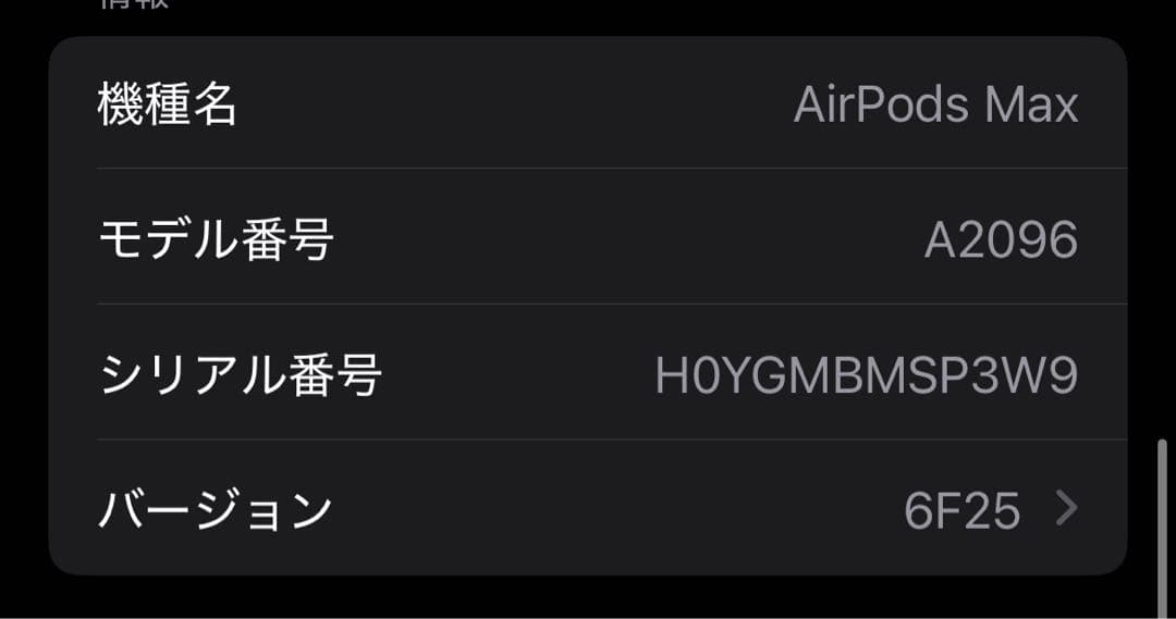 AirPods MAX 保護ケース付き