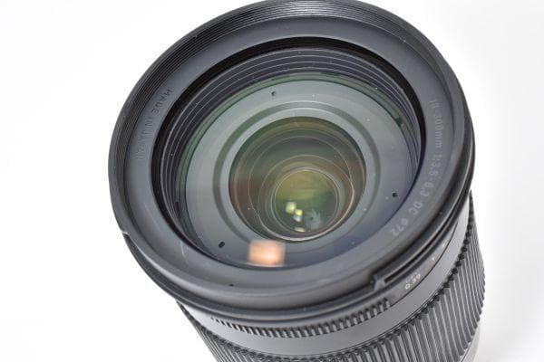 ★光学極上品★ ニコン用 SIGMA 18-300mm #722