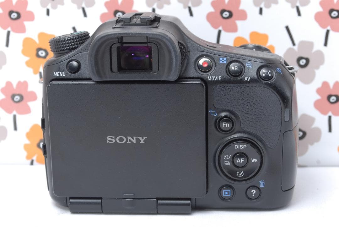 ❤即購入1000円OFF❤SONY α65❤超望遠トリプルレンズ❤超高画質❤