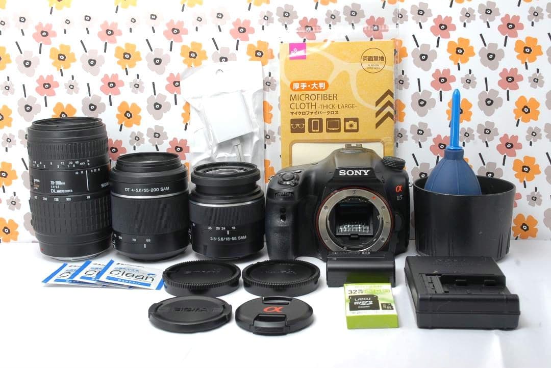 ❤即購入1000円OFF❤SONY α65❤超望遠トリプルレンズ❤超高画質❤
