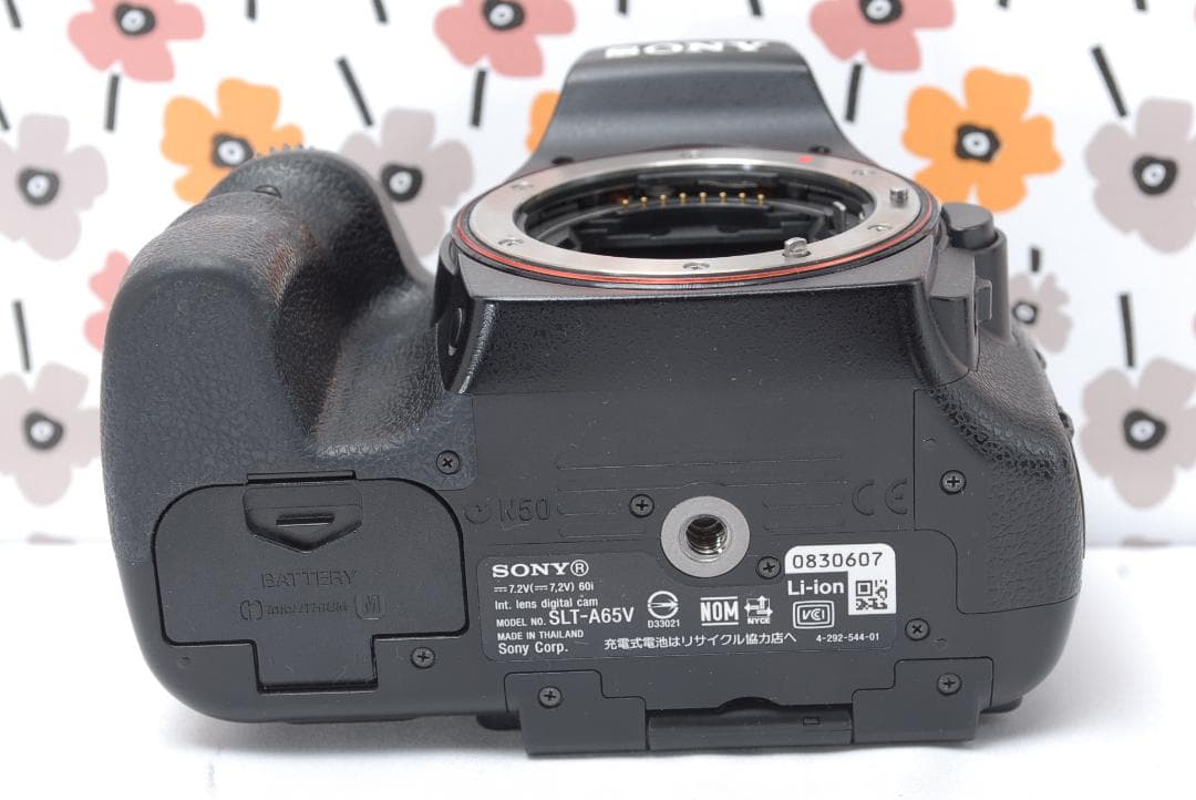 ❤即購入1000円OFF❤SONY α65❤超望遠トリプルレンズ❤超高画質❤