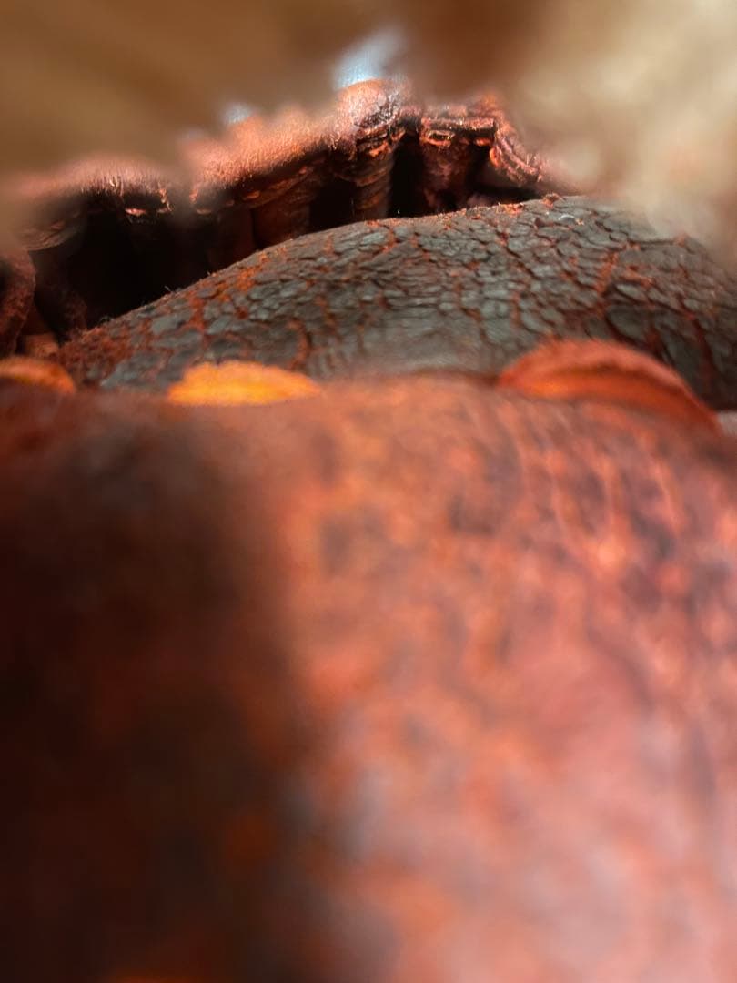 アシックス　スペシャルオーダー　野球 硬式グローブ 一般用　大人　右投げ　グラブ