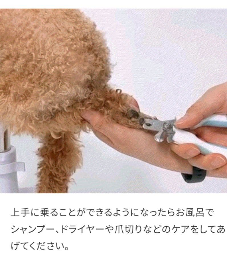 ペット用トリミング椅子