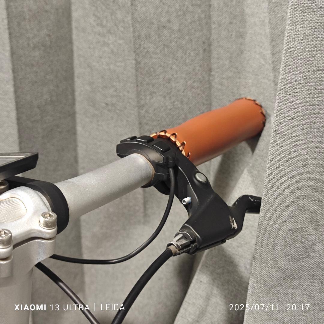 WIMO COOZY ベルト駆動 電動アシスト自転車