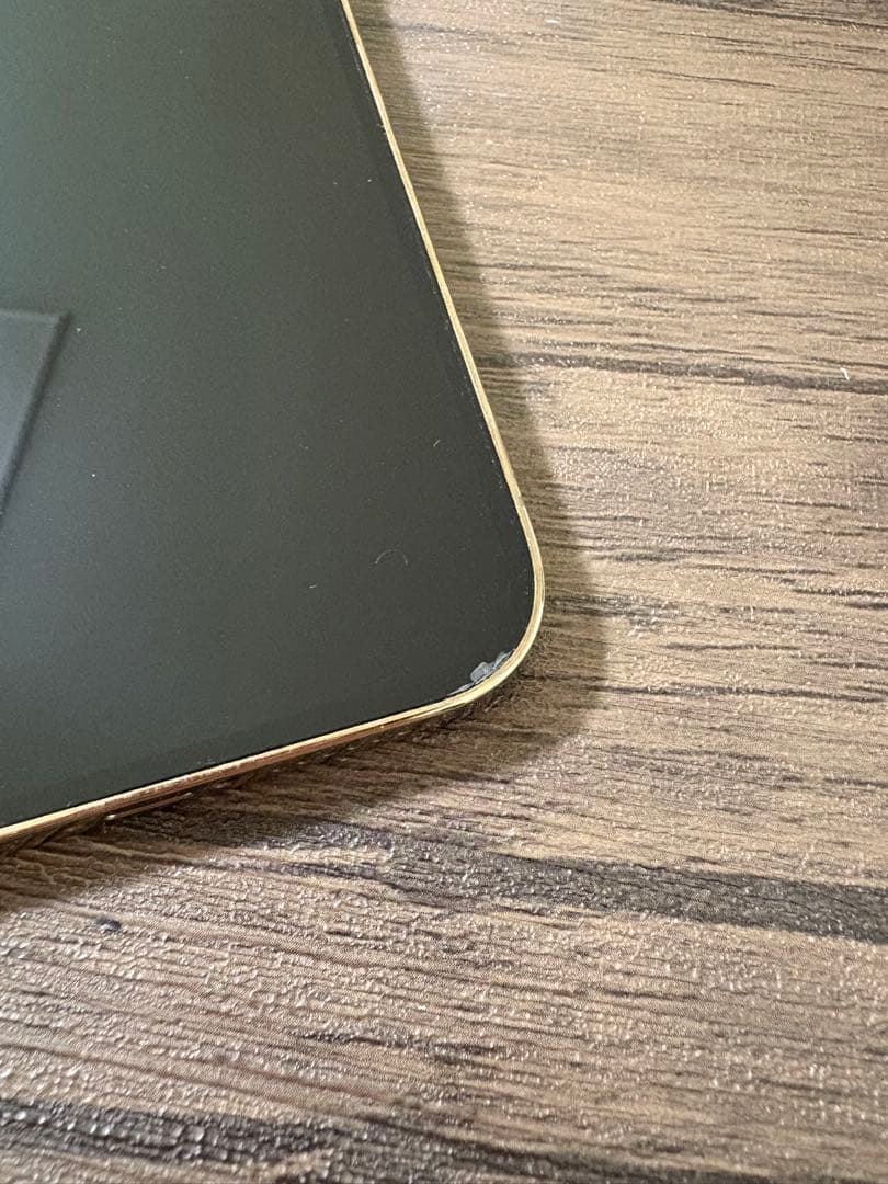 【志】 iPhone12 ProMax 256GB