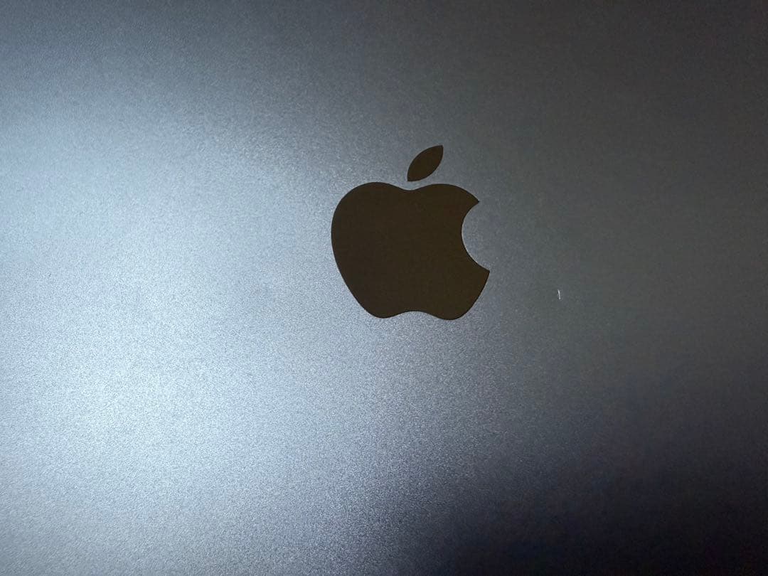 Apple iPad 本体 充電器付き