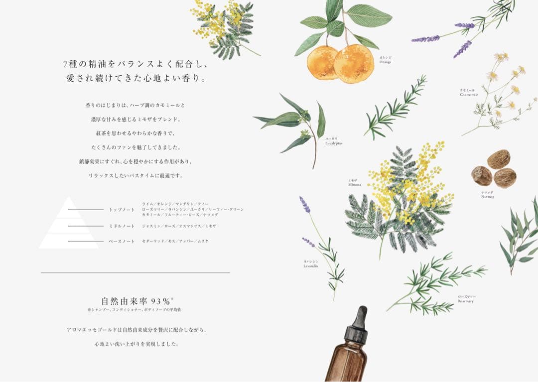 アロマエッセゴールド POLAシャンプー&コンディショナー10L 【セット品】