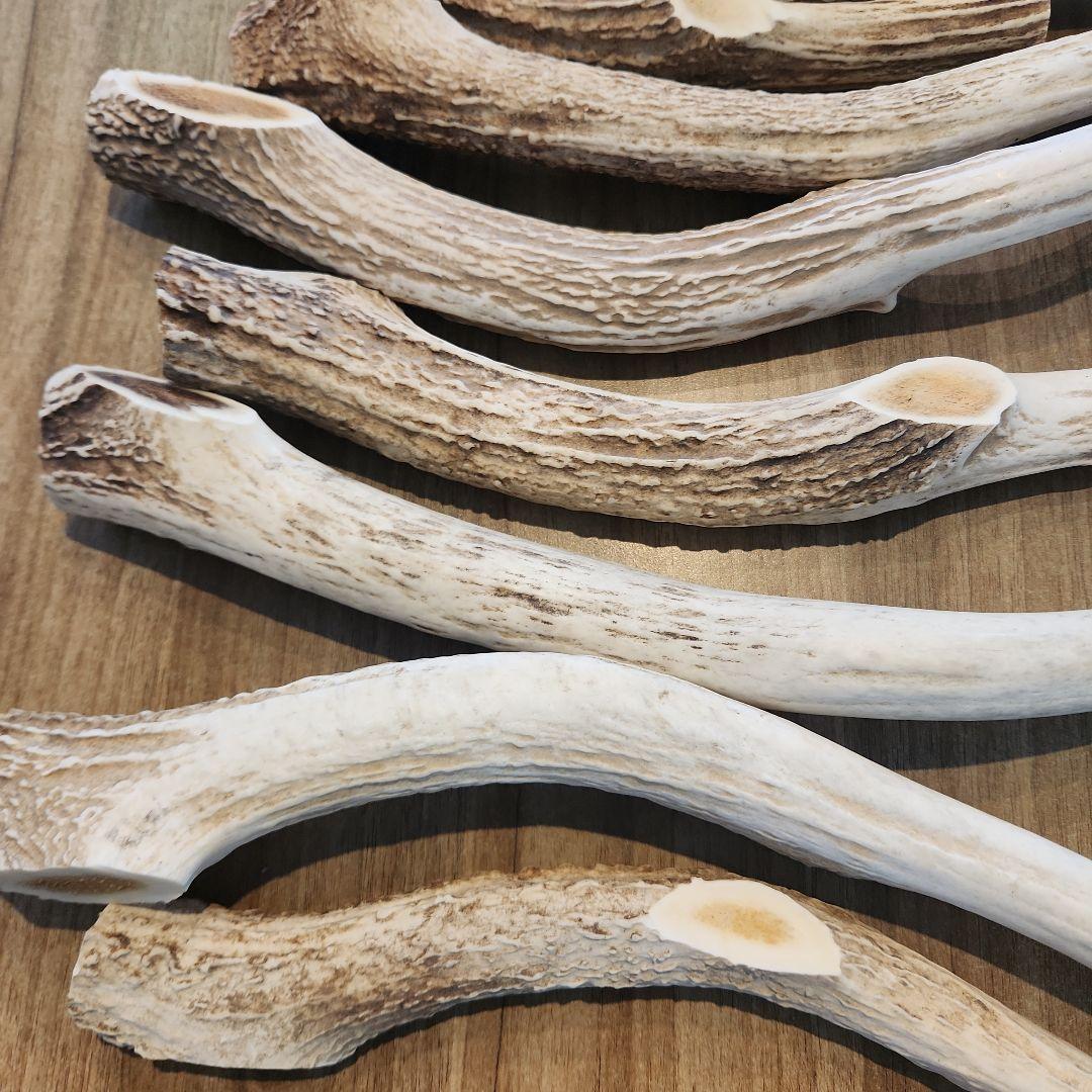 鹿の角　ランダム５kgセット