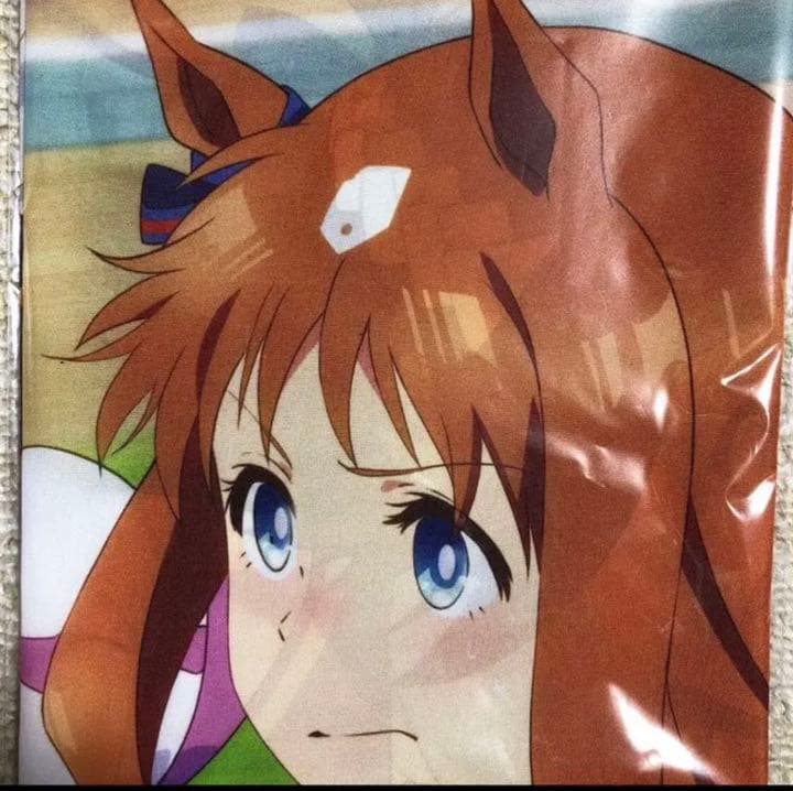 ウマ娘 BD購入特典 布ポスター＆ポーチ