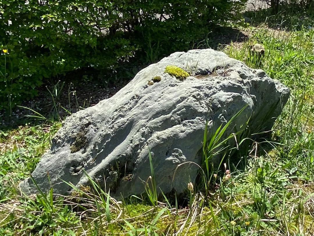 灰色 庭石 大 約140×40×50㎝ 苔付【石川県引き取り限定】まとめ割