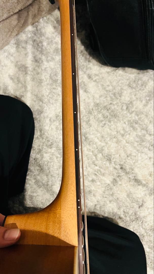 LAG エレアコ　スプルース　T70DCE-NAT