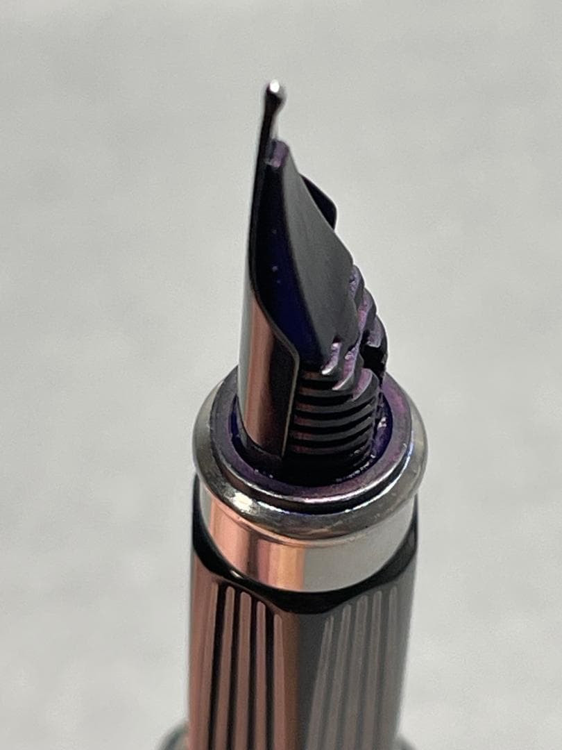 CARAN　D'ACHE(カランダッシュ)RNX.316　PVDブラック　万年筆