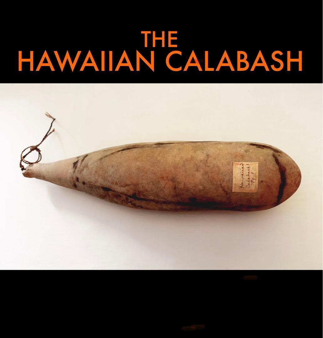 The Hawaiian Calabash antique fish hook付