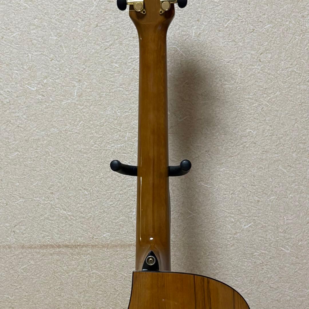 Aria TG-1N アコースティックギター 弦交換済み ソフトケース付き