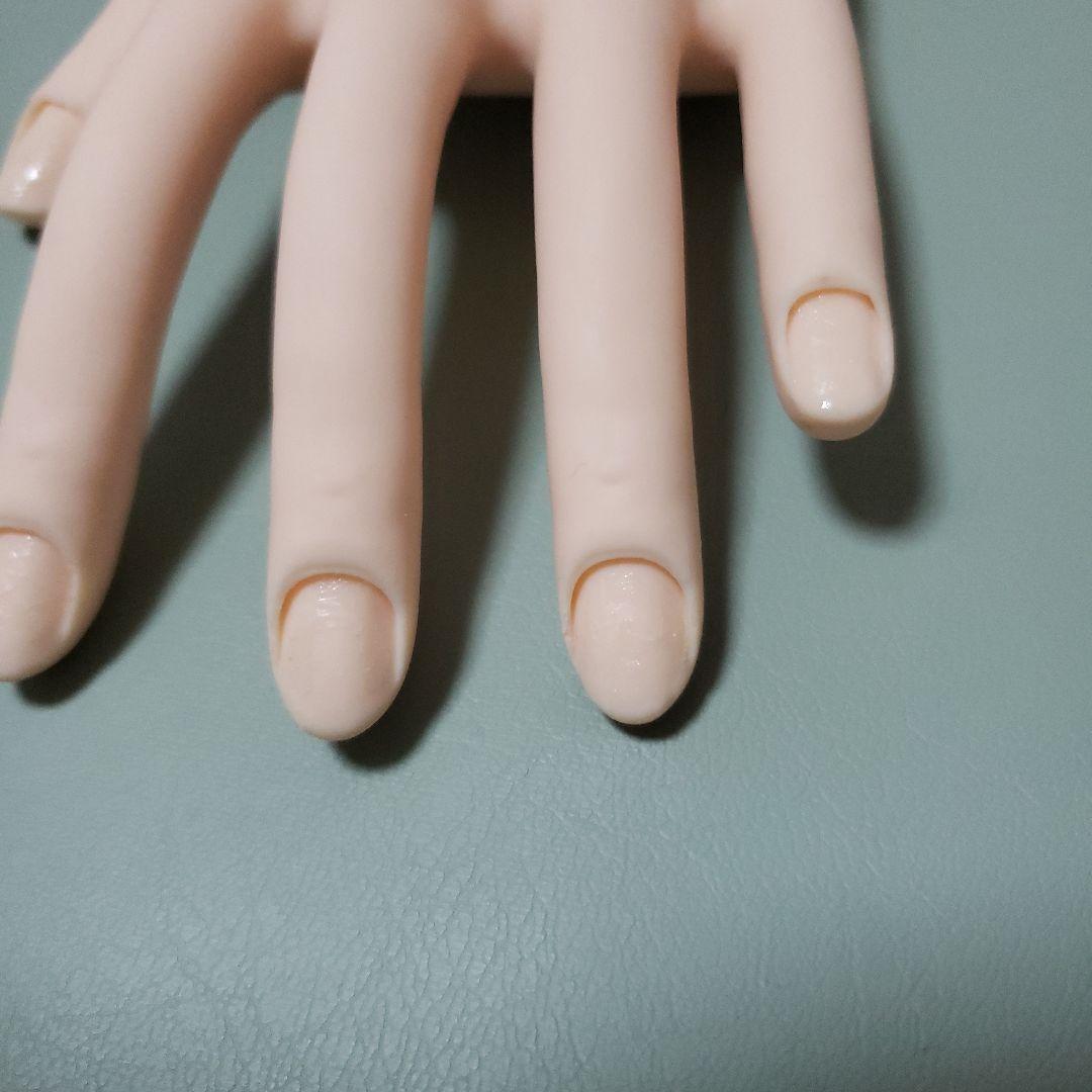 ②JNEC認定モデルハンド 両手 ネイリスト
