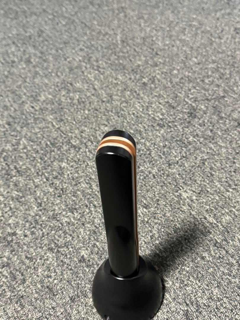 【極美品】 CARE PRO 超音波 アイロン BUI-01 プロフェッショナル