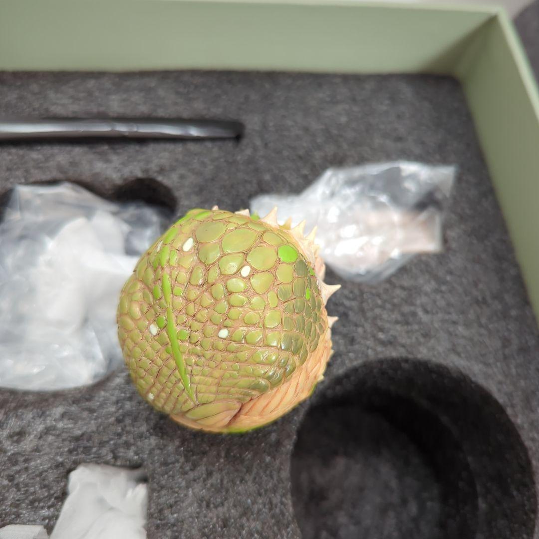 観葉植物　コーデックス　グラキリス　アガベ　オベサ　爬虫類フィギュア