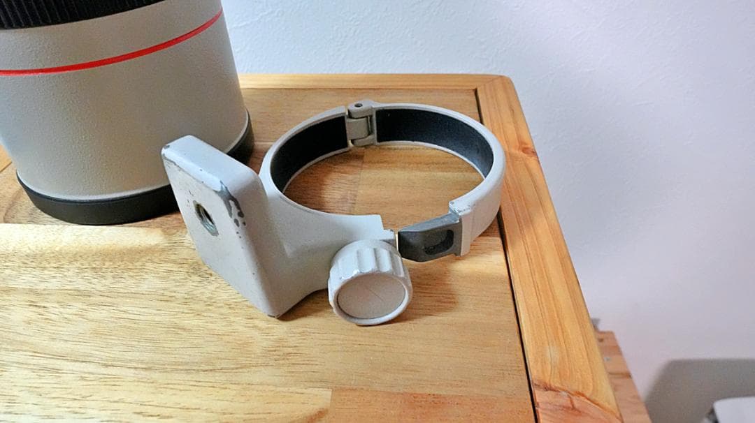 Canon EF 300mm f/4 L USM 単焦点 望遠レンズ