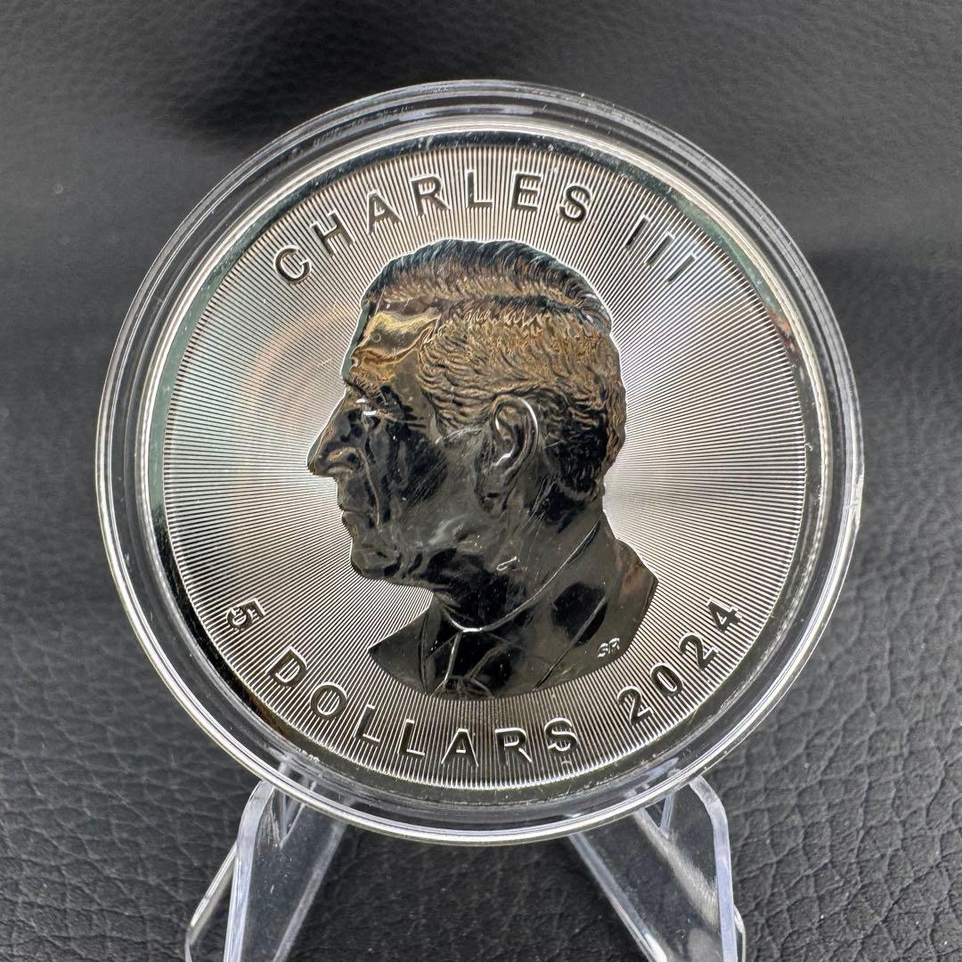 世界100枚限定！ メイプルリーフ 銀貨 カラー スズメバチ 森の自然融和