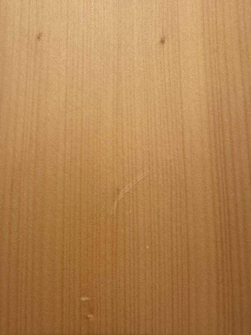 【Cole Clark】アコースティックギター FL2EC-BB