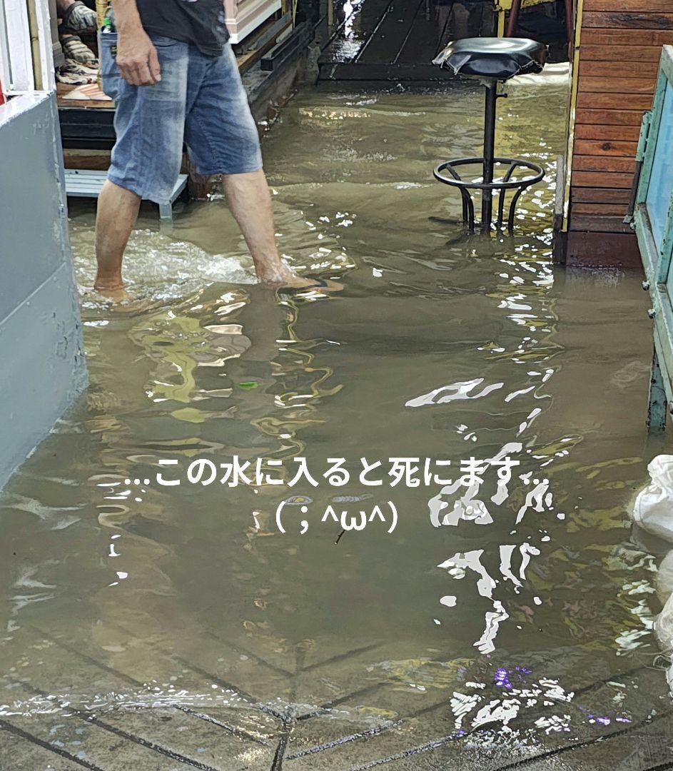 【MADAM】タイのお守りプラクルアン呪物？繁栄&幸運値アップ！ルーククロップ！