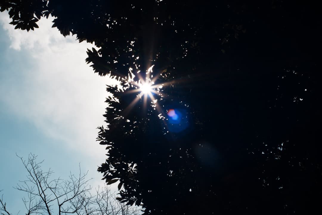 【美品】動作◎ ミノルタ MD ROKKOR 45mm F2 348