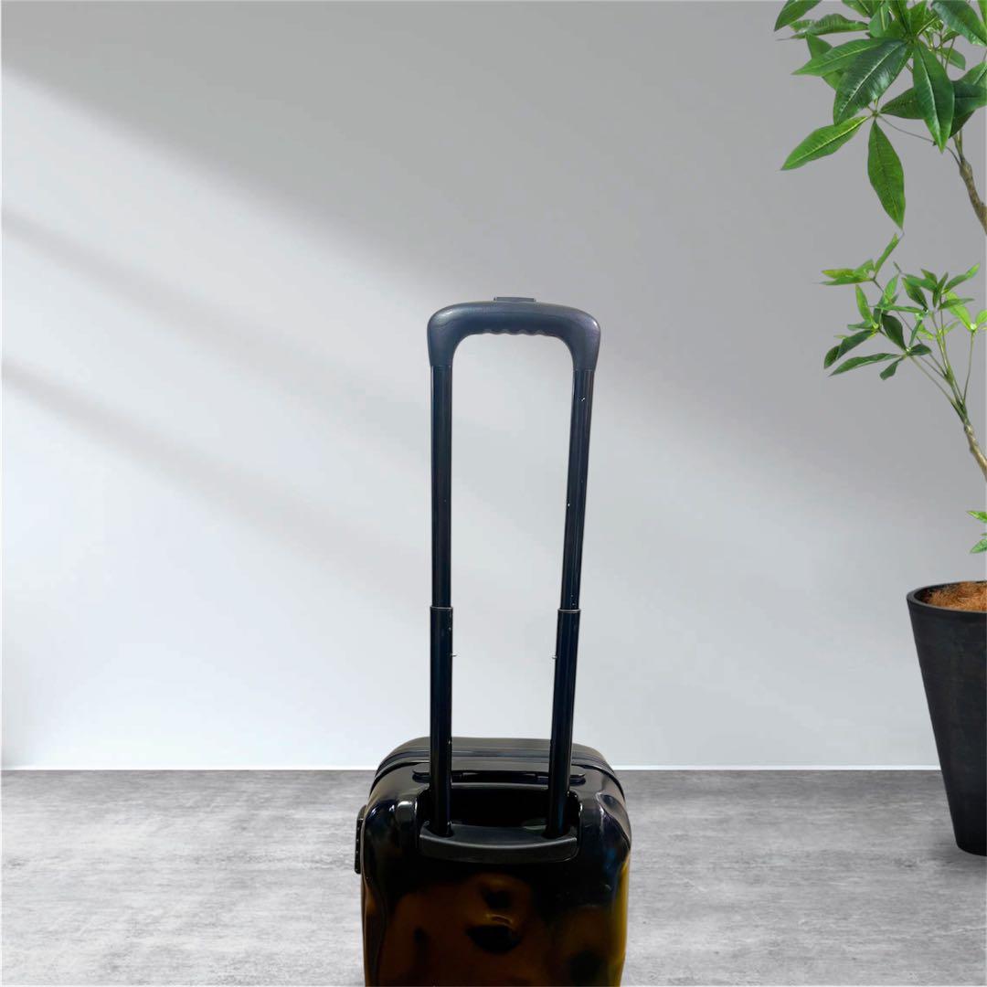 クラッシュバゲージ CRASH BAGGAGE 40L Sサイズ 機内持込可能