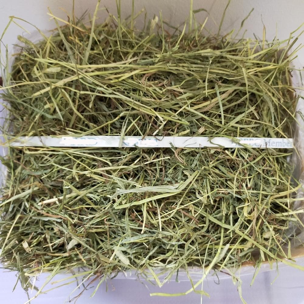 【12/30まで】US産 チモシー 100kg ２番刈り ソフトSプレミアム