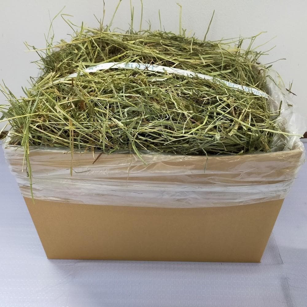 【12/30まで】US産 チモシー 100kg ２番刈り ソフトSプレミアム