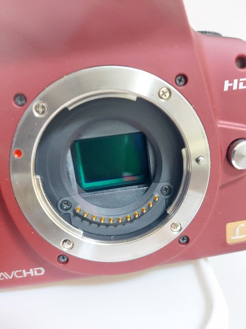 極美品　Panasonic LUMIX DMC-GH1 動作確認済み