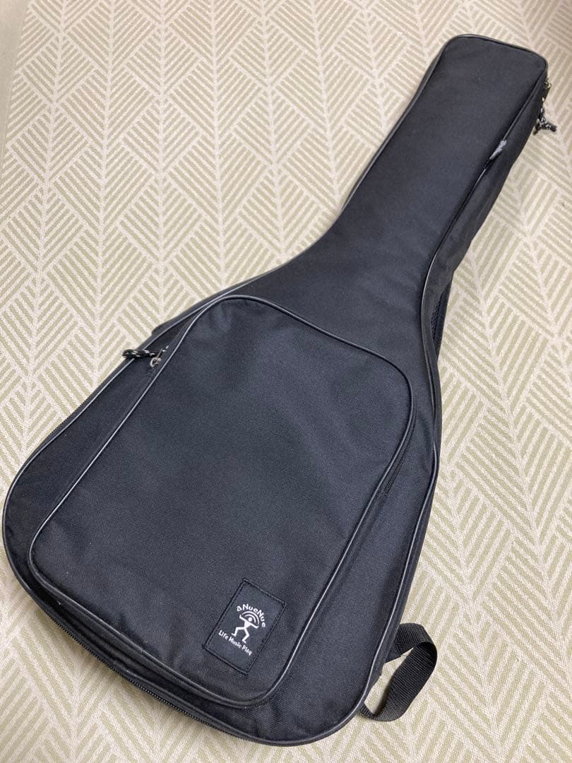 aNueNue Bird M1 アコースティックギター