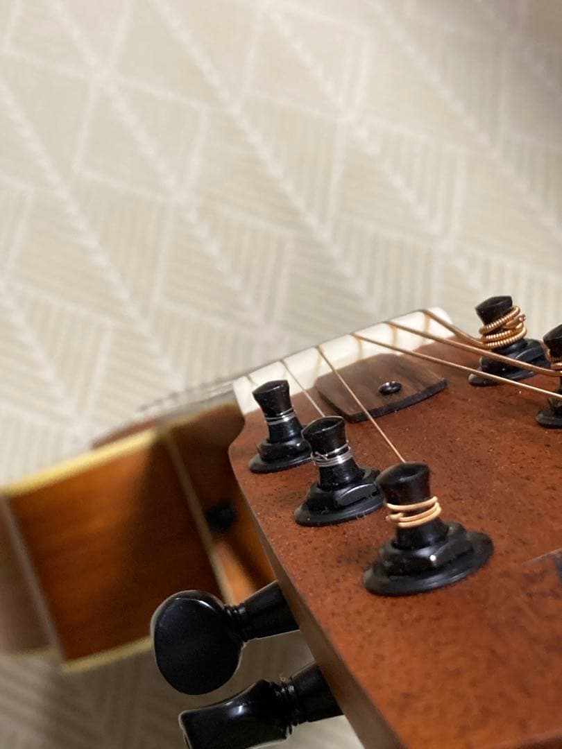 aNueNue Bird M1 アコースティックギター