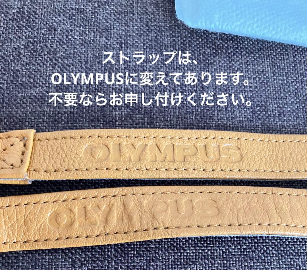 Panasonic LUMIX DMC-GF7 ミラーレス ブラウン