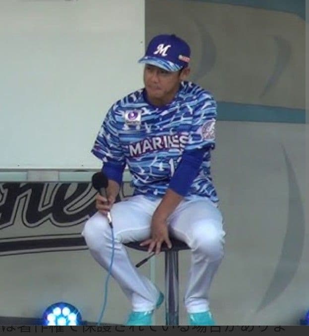 ☆プロフ内ユニホーム販売中☆ 千葉ロッテマリーンズ実使用ユニホーム 平沢大河