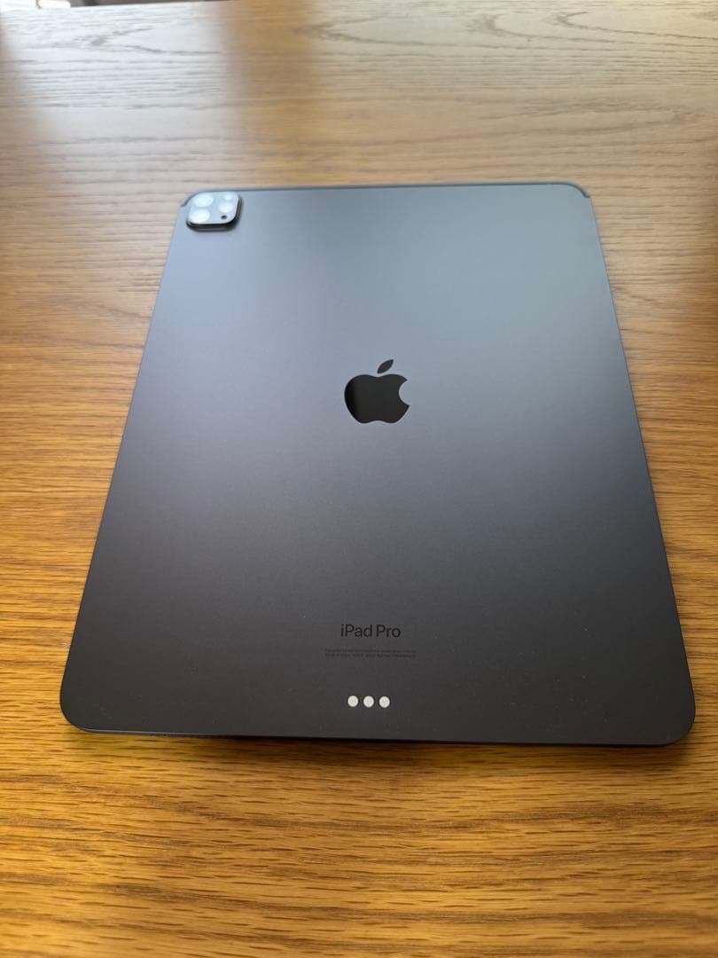 【3点セット美品】iPad Pro13インチ256GB Wi-Fiモデル