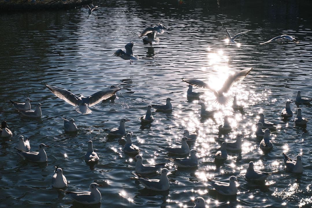 FUJIFILM X-M5 フラッシュ無し