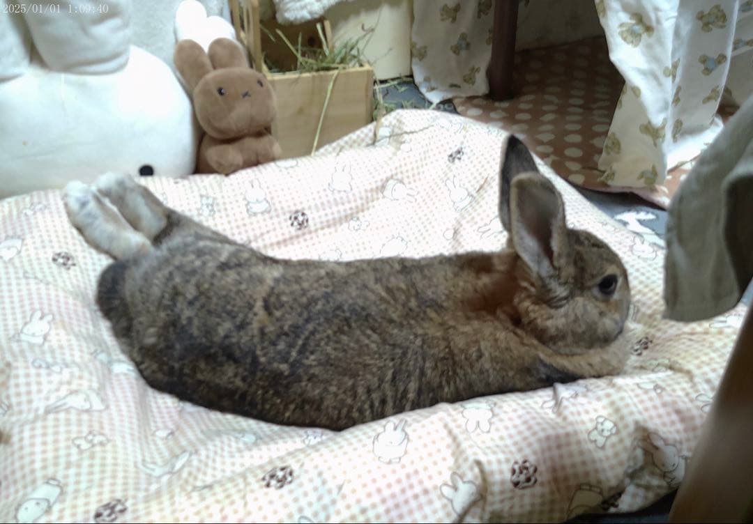 ビデオカメラ 4K録画 8000万画素 YouTubeカメラ