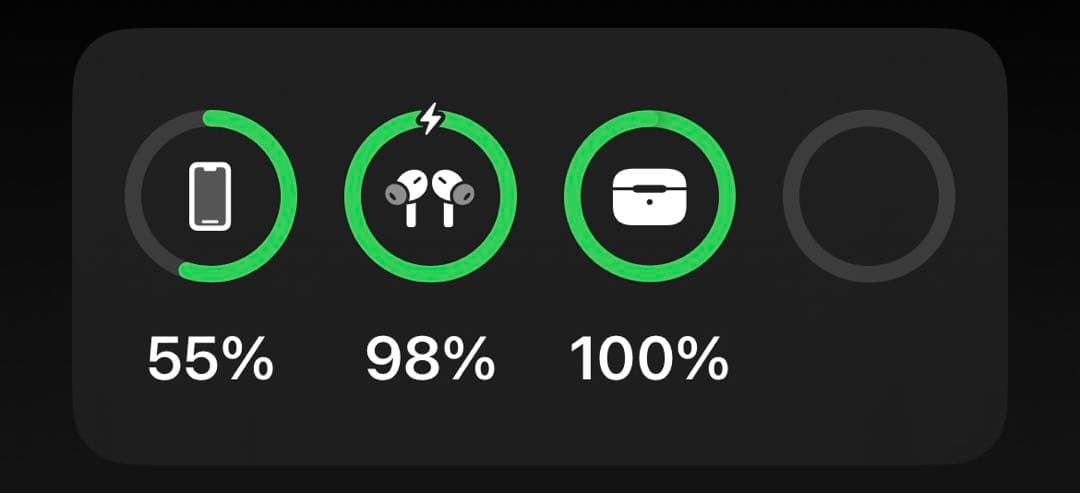 Apple AirPods Pro 第1世代、ケーブル、イヤーチップ