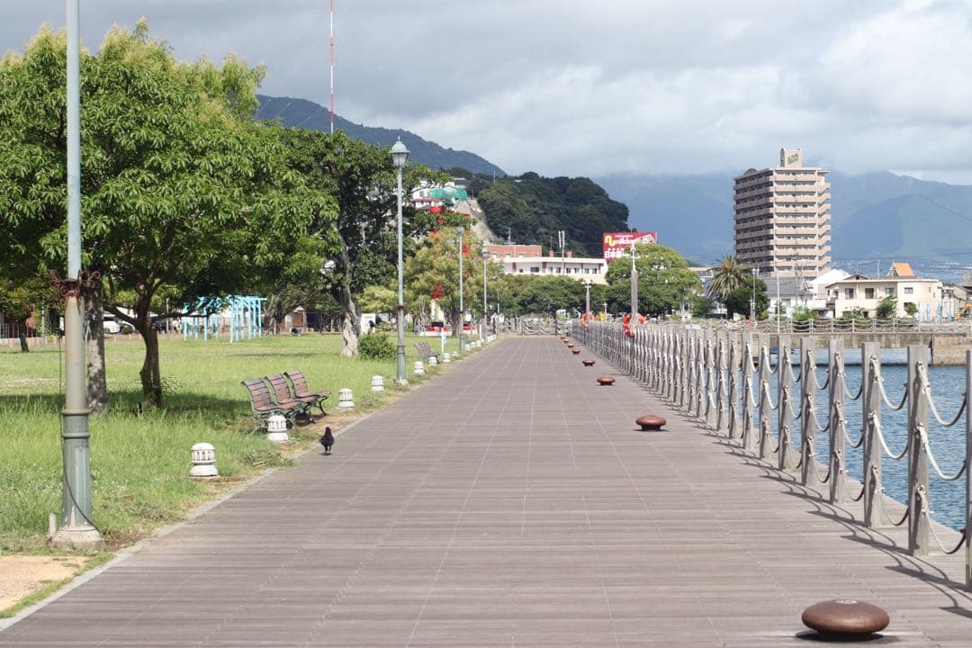 ★ OLYMPUS オールドレンズ 50mm F1.4