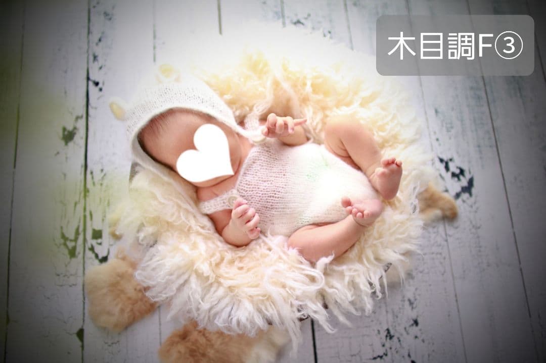 背景布【ガーデンG】サンプル　ペット、ドール撮影用ブース　薔薇　紫陽花　梅雨