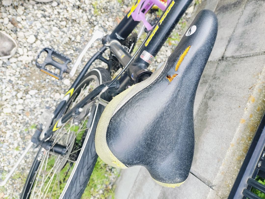 Treed Giant Rock5000 直接引取歓迎近県配送可