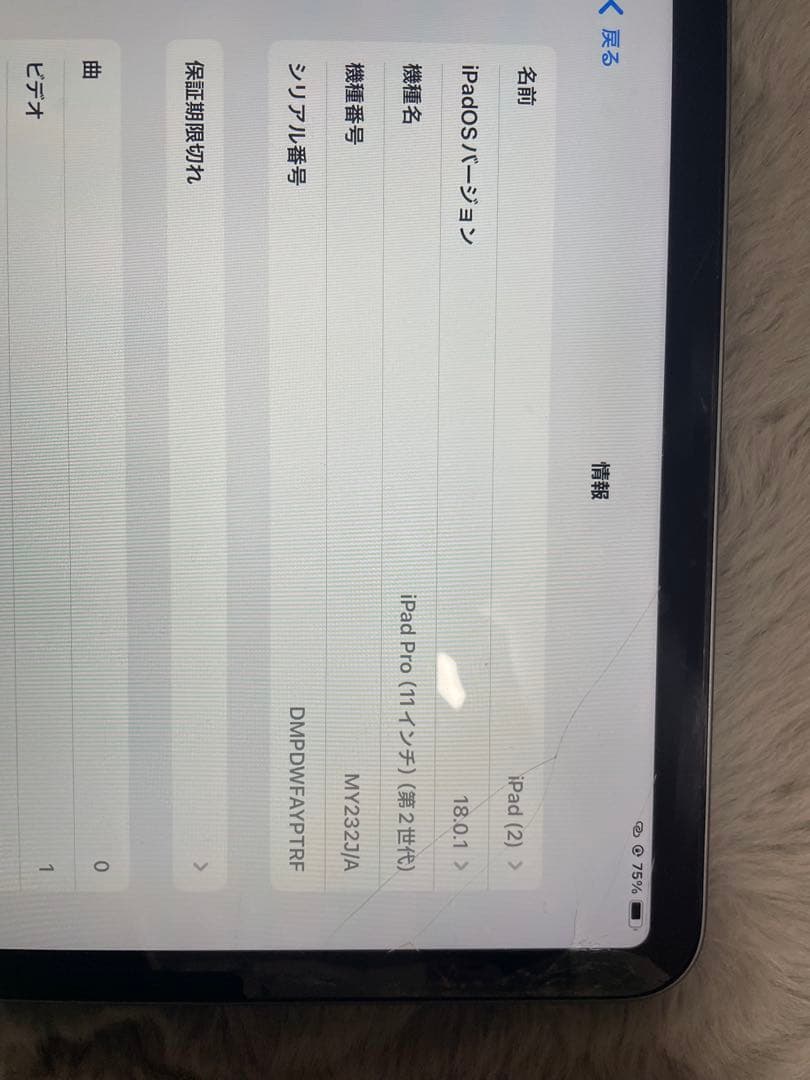 Apple iPad Pro 11インチ 第二世代　128GB
