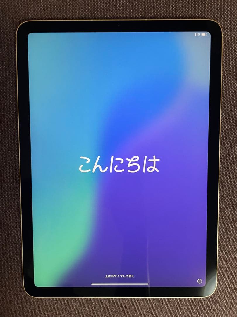 Apple iPad Air 4 本体