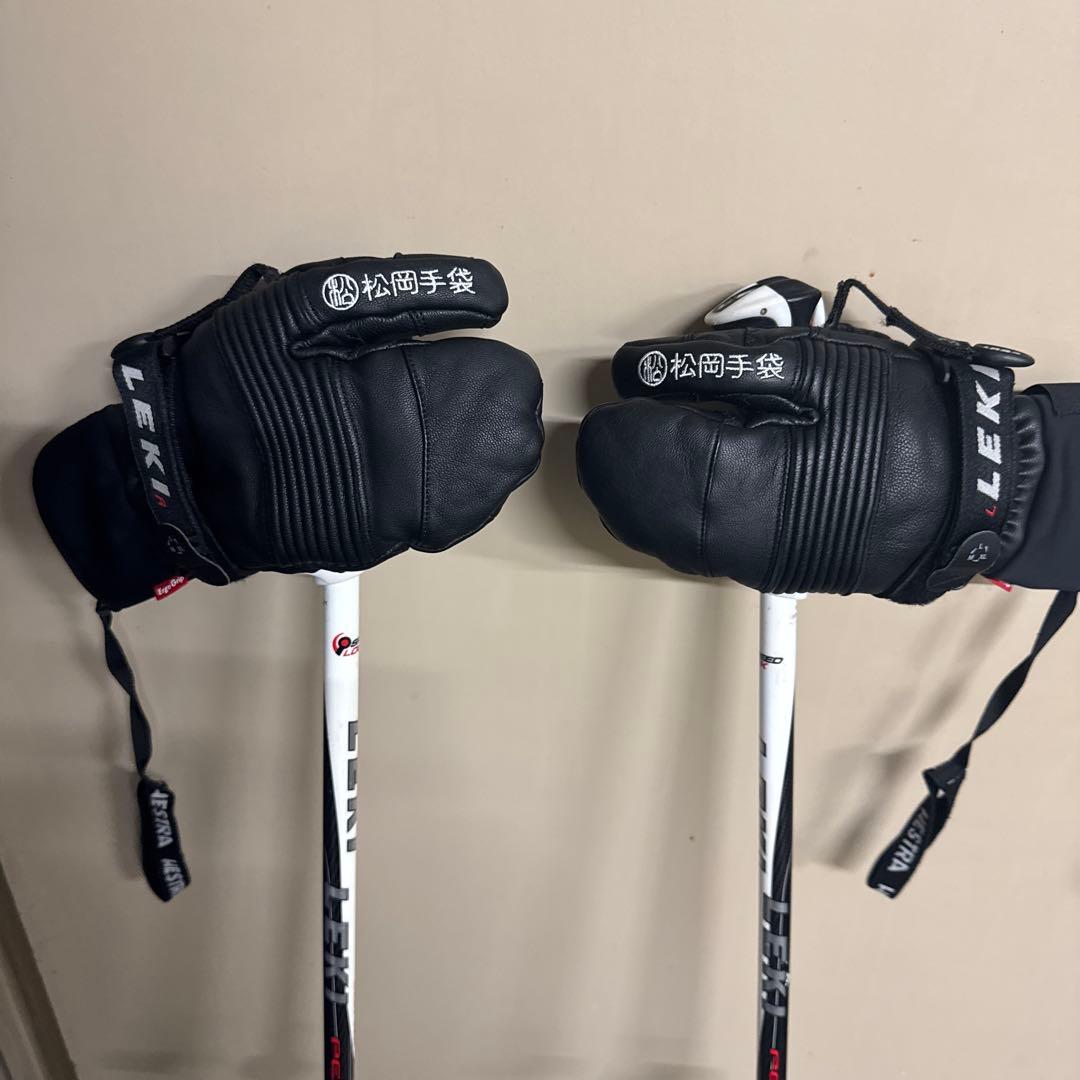 スキーポール レキ ピーク ヴァリオ S